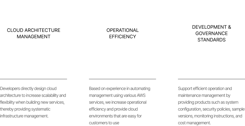 AWS Partner: Cloud architecture, operational efficiency, governance standards for scalable, cost-effective digital transformation.